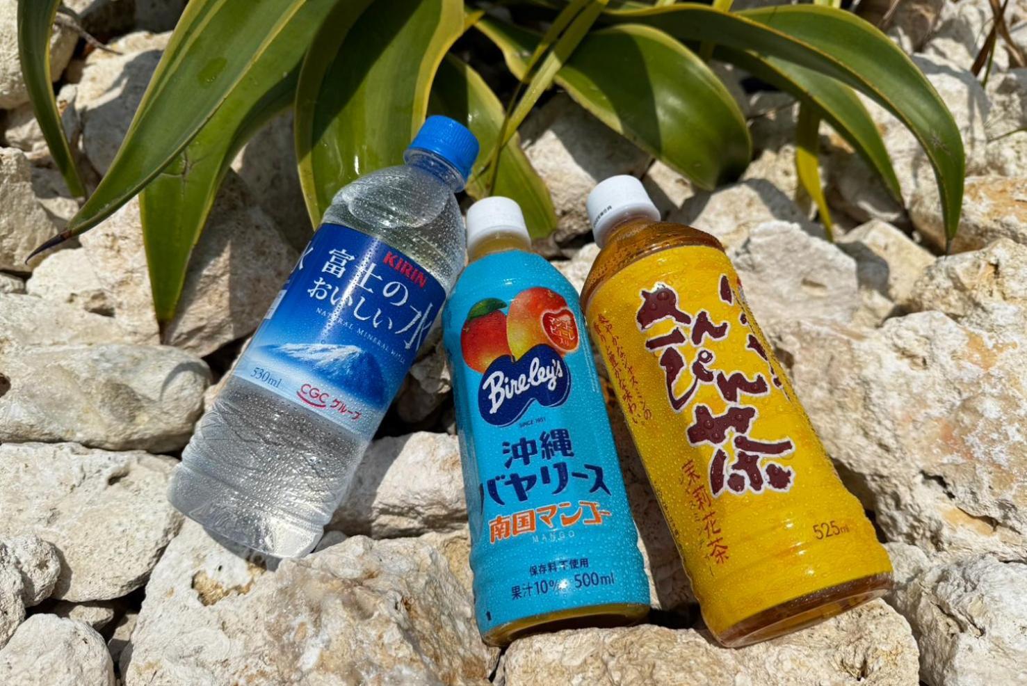 Cozystay In トゥリバー宮古島 宮古島市 エクステリア 写真